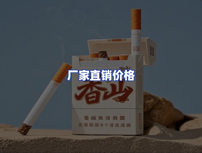 专业团队